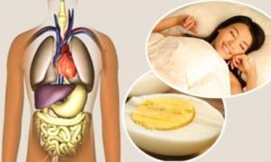 Mỗi ngày cơ thể đều tích lũy độc tố, cần thải chúng bằng cách nào?
