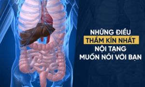 5 thứ mà nội tạng sợ nhất nhưng bạn đang “thản nhiên” nạp vào cơ thể hằng ngày