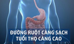 Cổ nhân dạy “nếu không muốn chết, ruột đừng có cặn” và đây là 3 cách làm sạch...