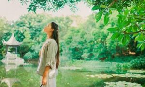 Nước càng nhạt thì càng trong suốt, người càng bình thản thì càng vui vẻ, an...