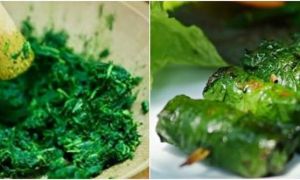 Lá lốt: Loại rau gia vị dân dã rất tốt cho sức khỏe, nhất là khi trời lạnh
