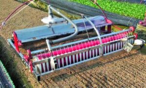 Nông dân lớp 7 sáng chế robot gieo hạt xuất sang Mỹ, Đức