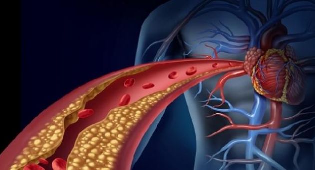 Mỗi ngày ăn một củ này sẽ “làm sạch mạch máu”, phòng ngừa và điều trị bệnh...