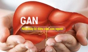 Cách làm sạch gan trong 3 ngày mà không cần thải độc