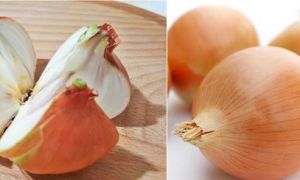 Vì sao người nước ngoài rất thích ăn hành tây? Chính là nhờ những công dụng...