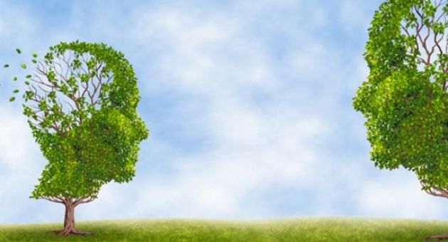 Trí tuệ lớn đến đâu cũng không thể bù đắp được lỗ hổng về đạo đức