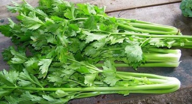 Rau mùi tây, không đơn thuần là gia vị nhà bếp!