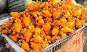 Cảnh báo chất cực độc có trong loại quả mà chị em vẫn đổ xô đi mua về bày mâm...