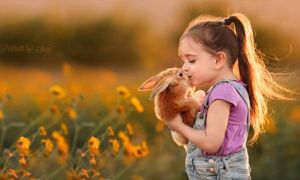 Vì sao tha thứ không phải ban ơn cho người khác mà là tạo phúc cho chính mình?