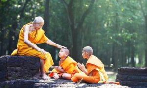 Trong đĩa cơm chay có lẫn thịt heo, vị cao tăng hành xử quá hay