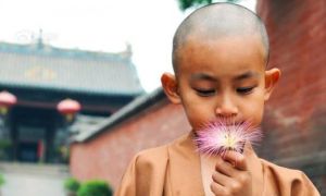 Vì sao chúng ta không thể bao dung người khác? Bài học thấm thía của tiểu hòa...