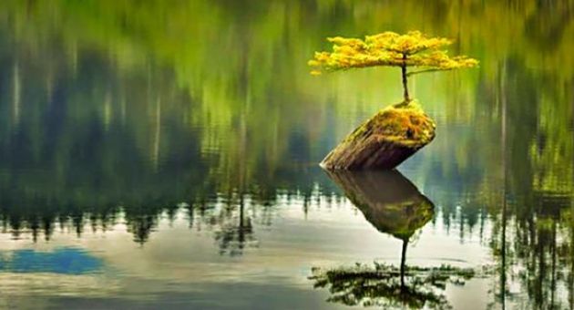 19 câu nói truyền cảm hứng, thay đổi mãi mãi cách nhìn cuộc sống của bạn