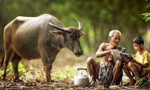 10 lời khuyên của cổ nhân, đến nay vẫn vô cùng hữu ích