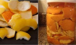 Đừng vứt vỏ cam nữa, cứ ngâm với giấm trắng đi rồi bạn sẽ giật mình vì công...