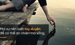 100 người đọc bài viết này thì 99 người sẽ cảm thấy cuộc đời mình nhẹ nhàng và...