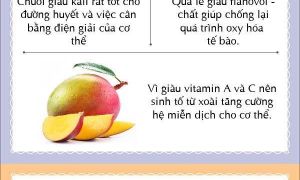 6 loại sinh tố cực tốt cho các bệnh nhân đang điều trị ung thư
