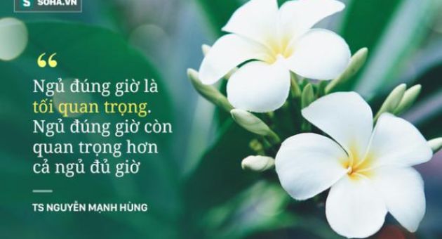 Rất nhiều người ngủ sai giờ và hệ quả là... sẽ rất