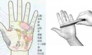 Dùng lược chải vào lòng bàn tay 10 phút mỗi ngày, cơ thể thay đổi kỳ diệu, bây...