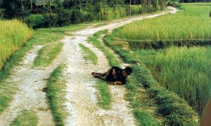 50 năm thảm sát Mỹ Lai: Phía sau những bức ảnh làm thay đổi cuộc chiến