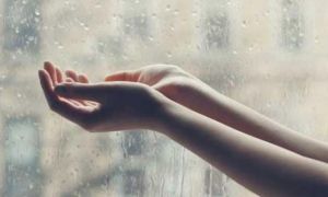 Điều sáng suốt nhất của đời người: Cầm lên được, bỏ xuống được