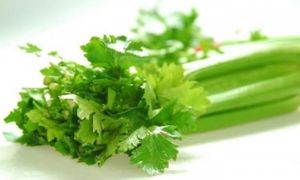 1 cọng cần tây, đánh bay 7 loại bệnh