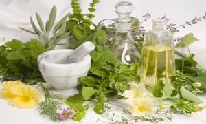 5 công thức đơn giản làm dầu gội tự nhiên để bảo vệ sức khỏe của bạn