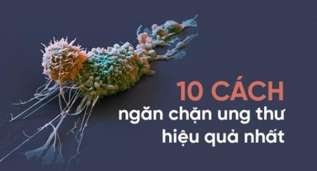 Tự cứu mình bằng 10 nguyên tắc ‘vàng’ phòng tránh ung thư