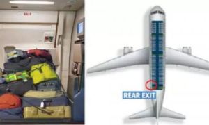 Nếu phát hiện máy bay có bom, tiếp viên sẽ cất ở đâu?