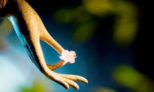 Lời nói gió bay nhưng nghiệp thì không bay, Bồ Tát sợ ‘nhân’ còn chúng sinh sợ...