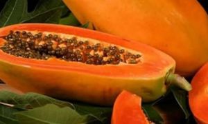 Quên thuốc tây đi, nếu chẳng may mắc những bệnh này chỉ ăn đu đủ là sẽ khỏi