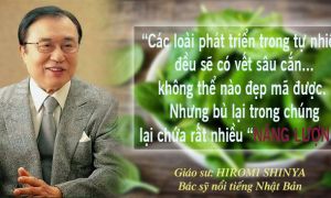 Giáo sư Nhật nổi tiếng: Nông sản thiếu hụt ‘năng lượng sống’ nghiêm trọng vì...