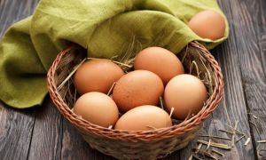 8 sự thật về trứng nhiều người chưa biết
