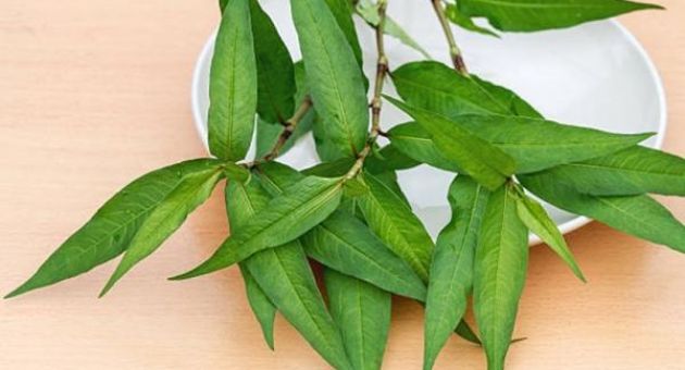 3 loại rau thơm bình dân nhưng có dược tính mạnh mẽ nhất