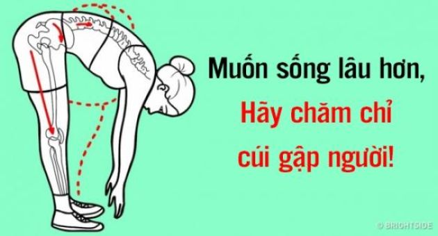 Nếu muốn sống lâu hơn, hãy cúi gập người càng sâu càng tốt vào bất kỳ lúc nào...