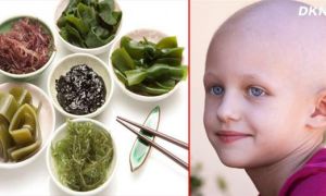 Những lợi ích kỳ diệu của rong biển: Chống ung thư, tăng cường tuyến giáp… và...