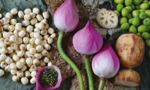 Thanh nhiệt, thải độc, ngừa tiểu đường hiệu quả nhờ các bài thuốc từ cây sen