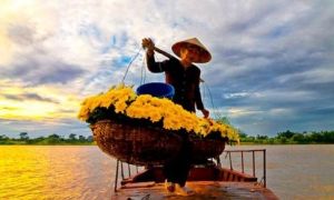 Mẹ già như chuối chín cây...