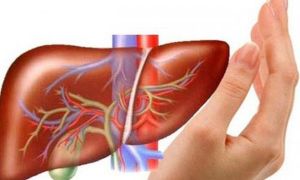 Ghi nhớ nguyên tắc