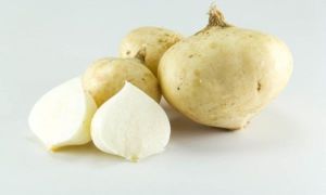 Không ngờ củ rẻ tiền này ngừa được hàng loạt bệnh