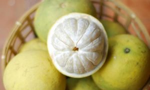 9 loại thực phẩm giúp tăng cường hệ miễn dịch cho cơ thể