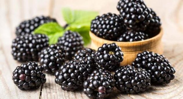 6 lợi ích sức khỏe ít người biết của quả mâm xôi