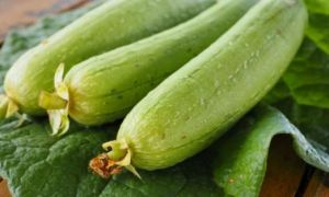 Mướp hương: Vị thuốc dân dã hỗ trợ điều trị tiểu đường hiệu quả