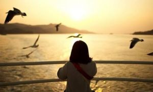 Bỏ sự nghiệp sang châu Âu định cư, sau 8 năm tôi vẫn thấy mình lạc lõng