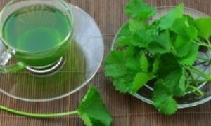 Những cách hạ nhiệt cơ thể khi nhiệt độ ngoài trời quá cao