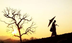 Trên đời này thứ gì khiến con người hạnh phúc nhất? Đừng đợi đến khi già rồi...