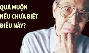 Đừng để 60 tuổi – Mới hiểu những điều này