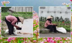 Bà cụ nhặt ve chai và chiếc ví rơi: Dù bạn là ai, hãy chọn làm người tốt