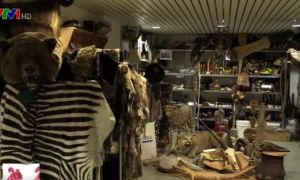 Khám phá phòng ''kho báu'' giữ hàng cấm xuất cảnh tại sân bay Đức