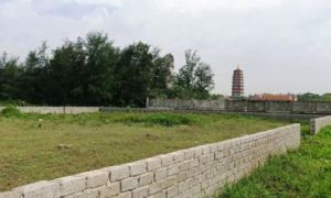 Cạp đất mà ăn - Cạp đất giàu lắm, nếu có quyền bính trong tay