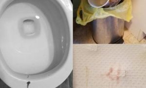 Du học sinh Việt đi làm khách: Đừng khiến chủ nhà phải ái ngại